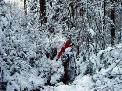 Waldzwerg im Schnee